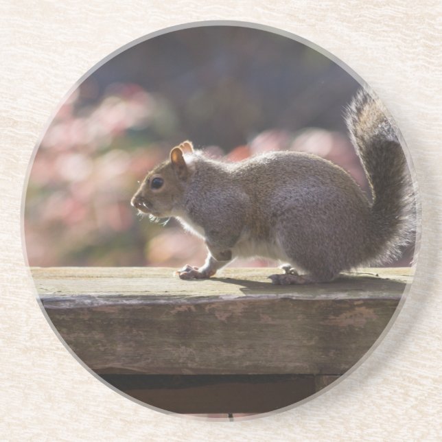 Glowing Squirrel Coaster (Front)