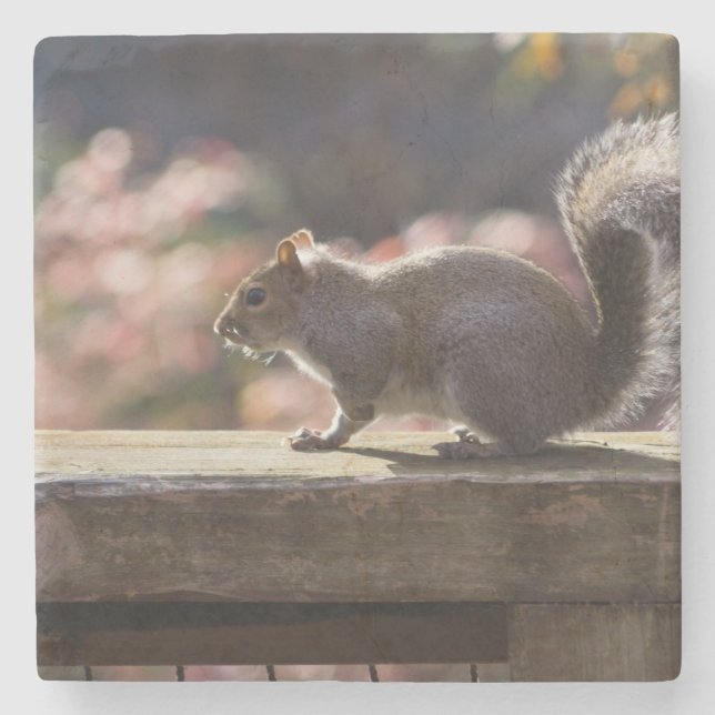Glowing Squirrel Stone Coaster (Front)