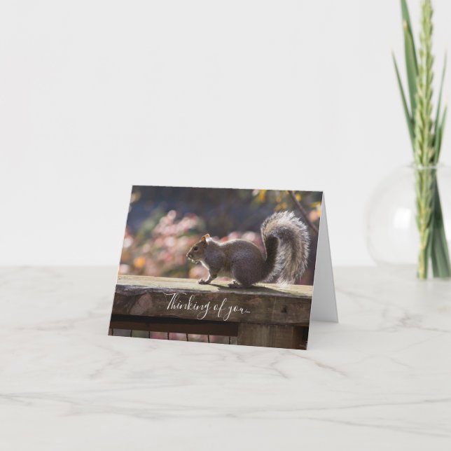 Glowing Squirrel Thinking Of You Card (Front)