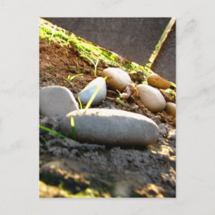 Glowing Stones Postcard