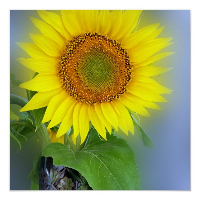 glowing sunflower poster (Front)