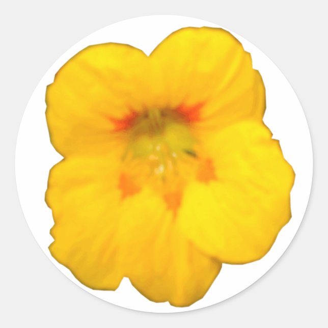 Glowing Yellow Nasturtium Flower Sticker (Front)