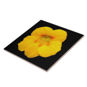 Glowing Yellow Nasturtium Tile