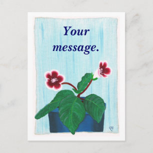 Gloxinia Flower, Your message, Postcards