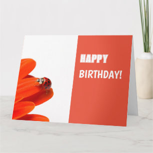 Glückwunschkarte Marienkäfer auf oranger Blüte Card