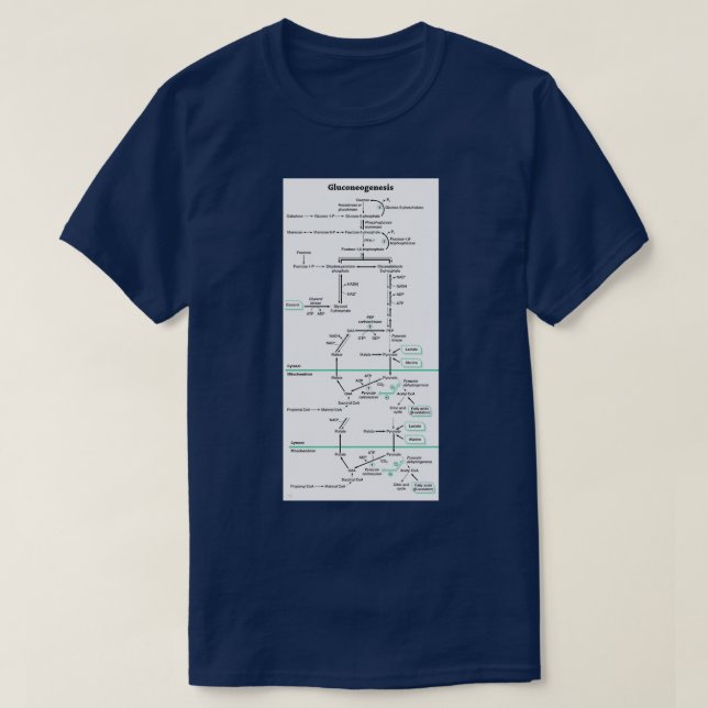 Gluconeogenesis biochemical pathway T-Shirt (Design Front)