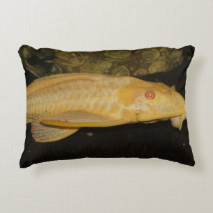 Glyptoperichthys gibbiceps decorative pillow