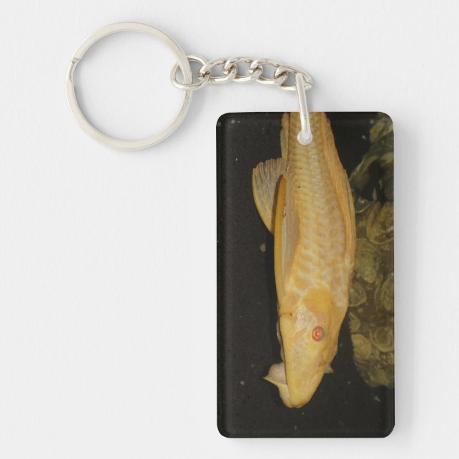 Glyptoperichthys gibbiceps keychain (Front)