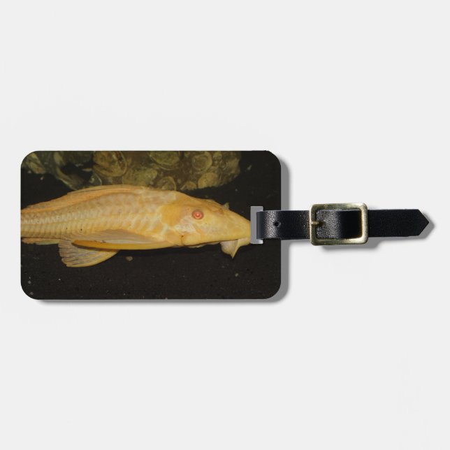 Glyptoperichthys gibbiceps luggage tag (Front Horizontal)