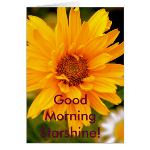 G'Morning Starshine