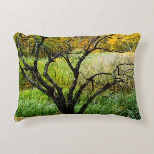 Gnarled Autumn Karelian Birch Tree Accent Pillow