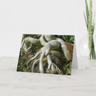 Gnarled Roots Note Card