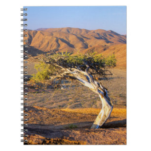 Gnarled Tree And Desert Lands, Richtersveld Notebook