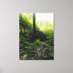 Gnarled Tree Base Canvas Print