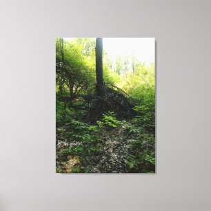 Gnarled Tree Base Canvas Print