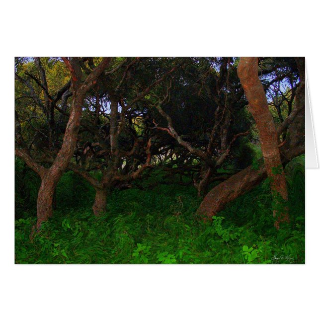 Gnarled Trees (Front Horizontal)