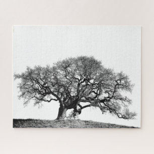 GNARLY OAK TREE JIGSAW PUZZLE
