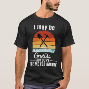 Gneiss Pun - Geologist tee Funny Geology Rock Scie
