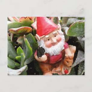 Gnome hiding in the succulents postcard