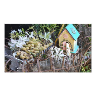 Gnome Home Woods Imaginaire Photographie personnal