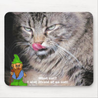 Gnome or Cats in sight?