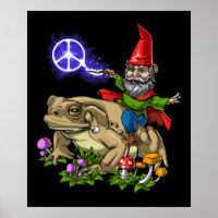 Gnome Riding Frog
