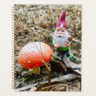 Gnomes des bois