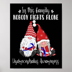 Gnomes Hydrocephalus Awareness Poster