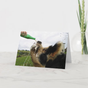 Go Ahead, You Deserve It! Card