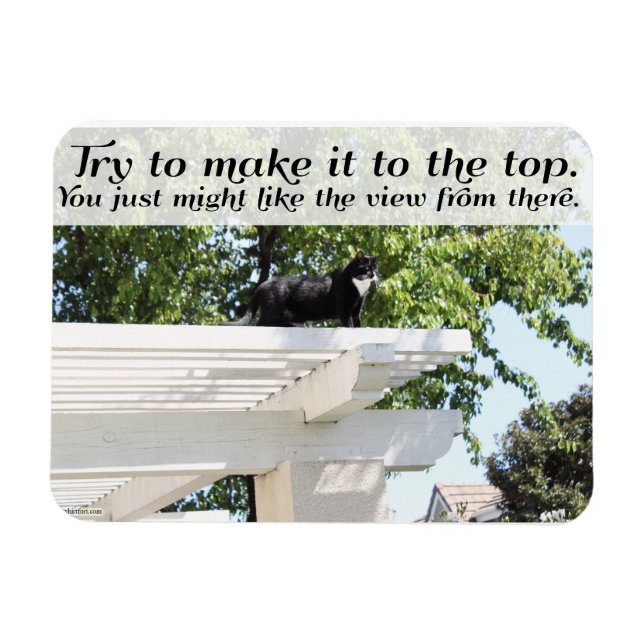 Go and Make it to the Top Cat Motivational Slogan Magnet (Horizontal)