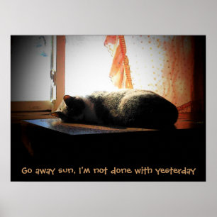 Go Away Sun - Sleeping Cat Poster
