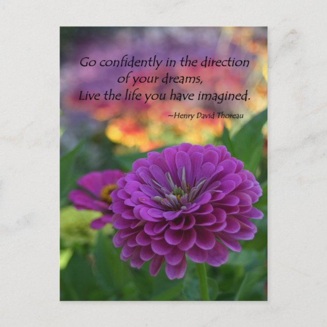Go confidently in the direction of your dreams postcard (Front)