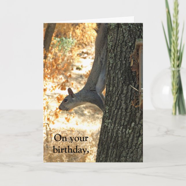 Go Crazy Funny Squirrel Birthday Card (Front)