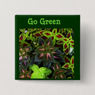 Go Green_ 2 Inch Square Button