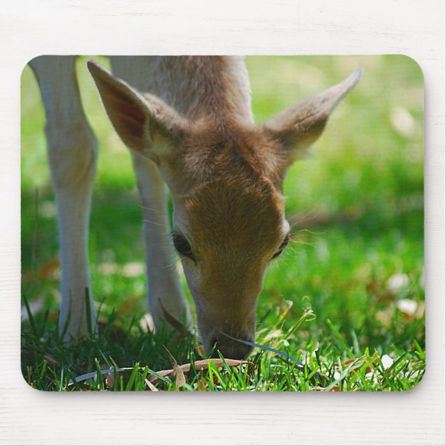 Go green for Deer Antelope Mouse Pad (Front)