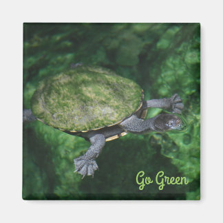 Go Green Turtle Magnet