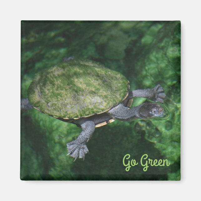 Go Green Turtle Magnet (Front)