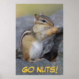 Go Nuts! Poster