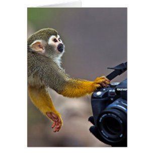 Go on! let me take the shot