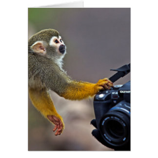 Go on! let me take the shot