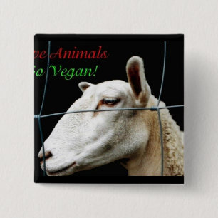 Go Vegan 2 Inch Square Button