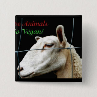 Go Vegan 2 Inch Square Button