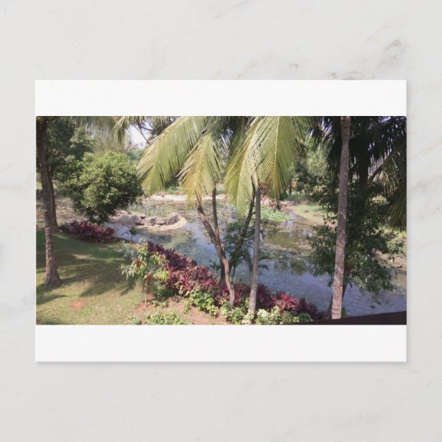 Goa India Garden Postcard (Front)