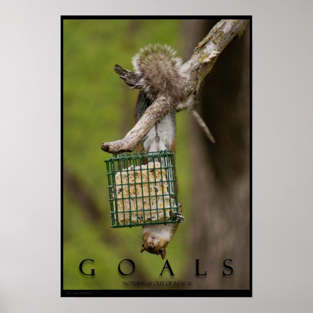 GOALS Inspirational Funny Squirrel Poster Print (Front)