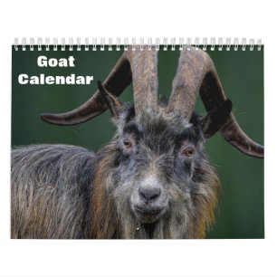Goat 2025 calendar