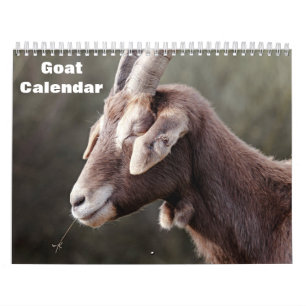 Goat 2027 calendar