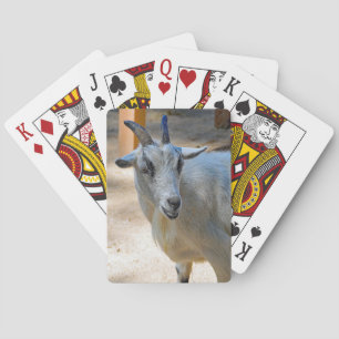 Goat 540 playing cards
