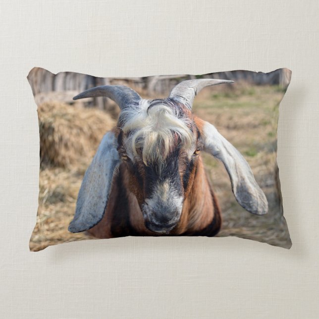 Goat Accent Pillow (Front)