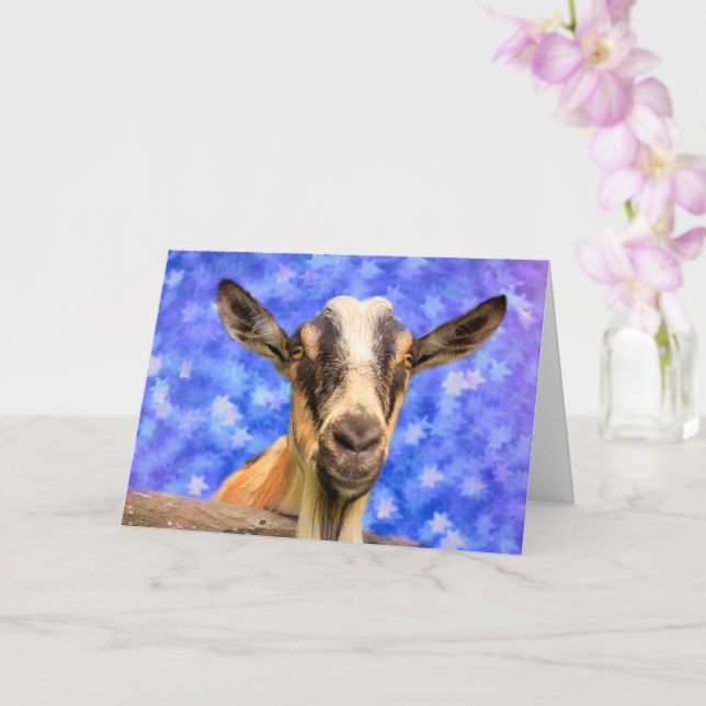 Goat And Stars Birthday Card (Orchid)