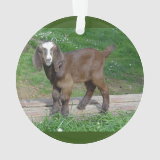 Goat baby ornament 2 pictures